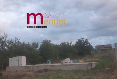 Teren agricol intravilan de 230 mp, în Câșlița