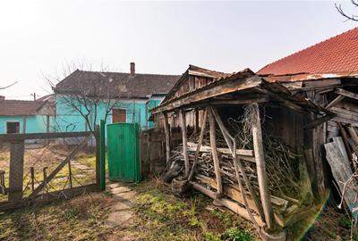 RECO Casa cu teren 3036mp, Bors - 12