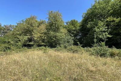 Teren Extravilan in mijlocul naturii. - 6