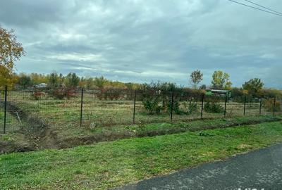 Vand casa la tara - 9