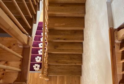 Casă cu 4 camere cu Teren 470 Mp în Elisabetin - 3