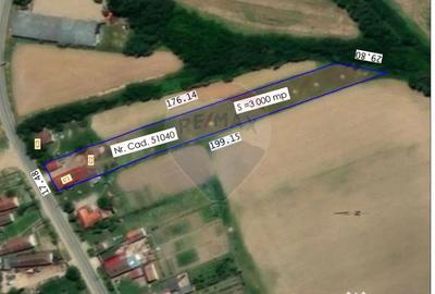 Casă cu 2 camere cu Teren 3000 Mp în Păgaia - 2