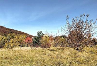 Teren de 660 mp, în Bunloc - 7