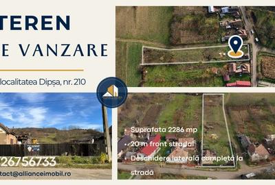 Teren intravilan de vanzare - Dipsa - 1