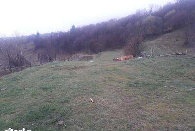 Teren de 2800 mp, în Tiha Bârgăului - 3