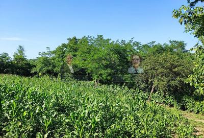 Teren pentru casa/Fantani/Nicoresti - 1