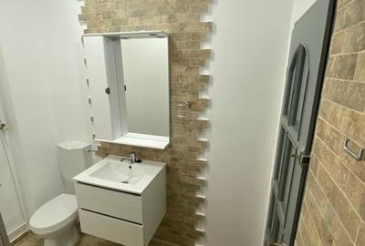 Stefan cel Mare - Spital Colentina, parter vila, parcare, doar firme - 7