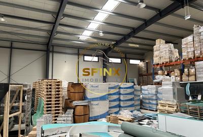 Spațiu industrial, de 760 mp, în Mogoșoaia - 4