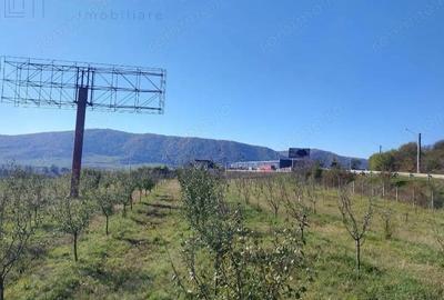 Teren de 12300 mp, în Crainimăt - 2