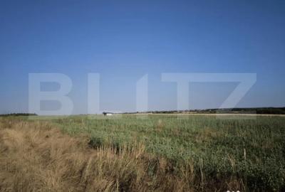Teren de 30350 mp, în Cârcea