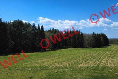 Teren agricol extravilan de 2900 mp, în Reci - 3