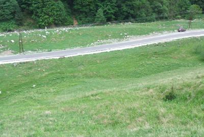 Teren în Central - 1