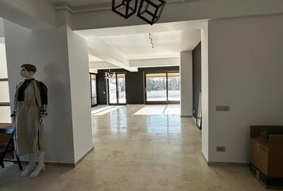 Apartament cu 5 camere în Grădina Icoanei - 5