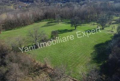 Teren 13.643 mp intravilan de vanzare in Curtea de Arge?. - 7