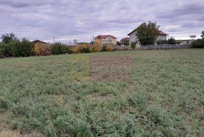 COSERENI( il ) - TEREN  2K MP DE VANZARE (52 M DESCHIDERE LA E85 ) - 11