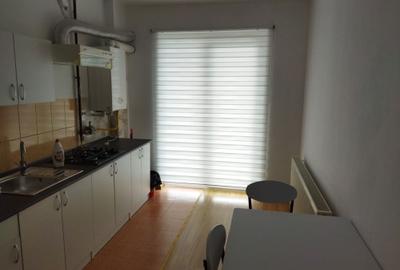 Apartament cu 2 camere în Dosu Bricii - 4