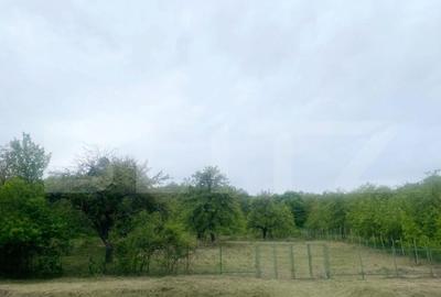 Casa de vanzare, cu 4 camere, 170mp, zona Garbau (Cornesti) - 3