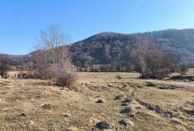 Teren de 6100 mp, în Glăjărie - 3