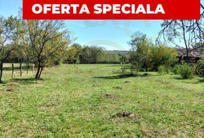 Teren intravilan de vanzare in Berevoie?ti, Arge? 25 - 1