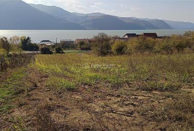 Teren Intravilan langa Dunare! Disponibil la 15 Euro mp - 11