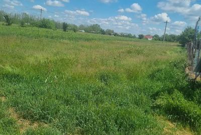 Teren de 2000 mp, în Tărtășești - 5