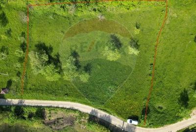 EXCLUSIVITATE! Teren 2339 mp in Barsana - Comision 0%! - 7