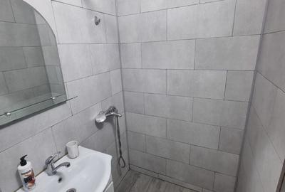 Garsonieră semidecomandată în Craiovița Nouă - 5