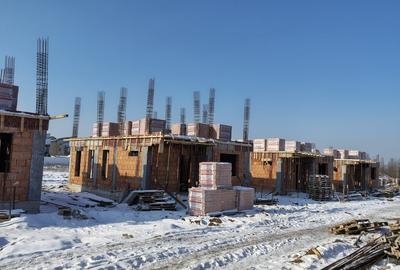 Vile individuale padurea Rosu - 3