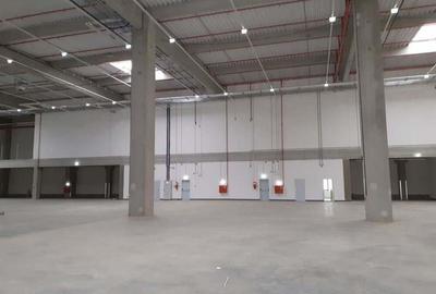 Spațiu comercial, de 3,000 mp, în Dragomirești-Vale - 6