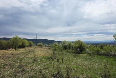 Teren de 6704 mp, în Bârsău - 10