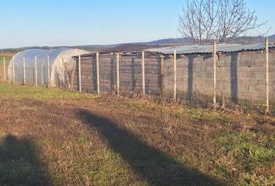 Teren de 1550 mp, în Aurel Vlaicu - 1