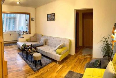Apartament cu 2 camere în Șega - 2