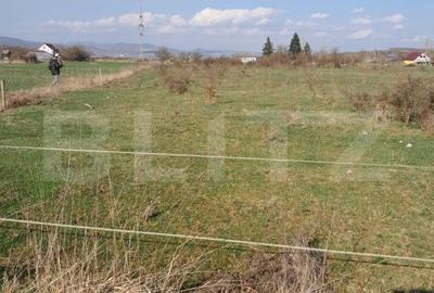 Teren de 5000 mp, în Central