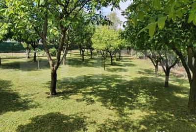 Casă cu 4 camere cu Teren 1241 Mp în Amați - 15