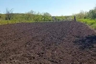 Teren de 2500 mp, în Trestiana