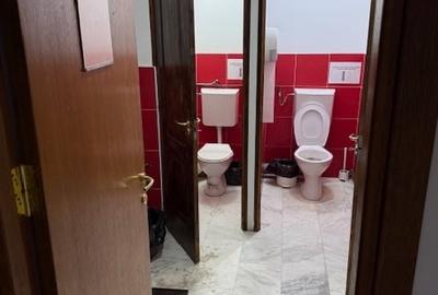 De inchiriat Demisol 100 mp cu intrare separata in zona Iancului - 2