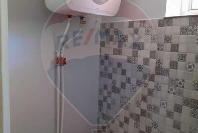 Casa individuala cu teren de 3.414 mp, Comuna Comarna - 12