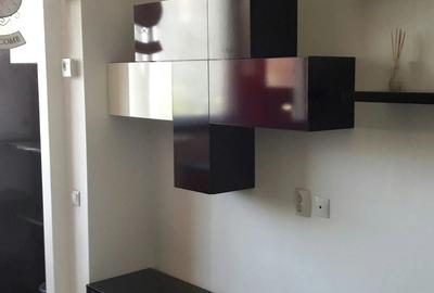 Apartament 3camere duplex Pack Lake - 2