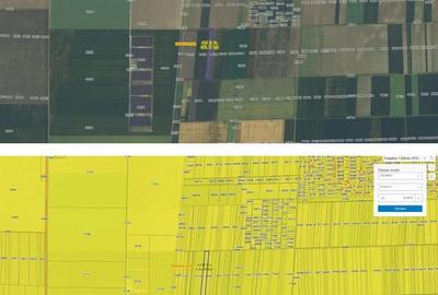 Teren de 20000 mp, în Dragalina - 5