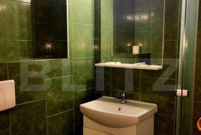 Pensiune de inchiriat, 450 mp, zona Lugojului - 3