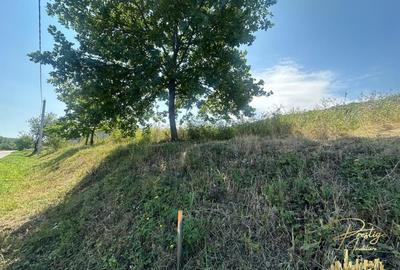 Teren Construcții intravilan de 576 mp, în Haieu - 6