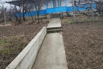 Vand casa cu teren de 2000mp in Bogdanesti - 2