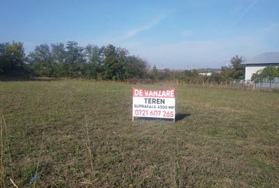 Teren în Dascălu - 3