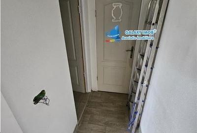 Damaroaia stradal 50 mp - 14