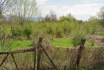 TEREN INTRAVILANT DE VĂNZARE,ÎN ZONA TEIUȘULUI, OR.CARANSEBES,JUD.C-S - 2