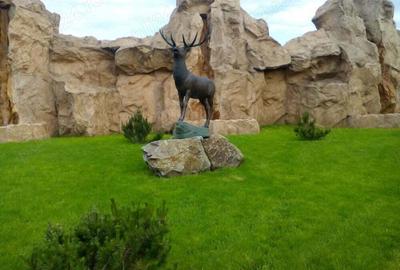 Parc Tineretului,Oraselul Copiilor, 3 minute metrou Brancoveanu - 3