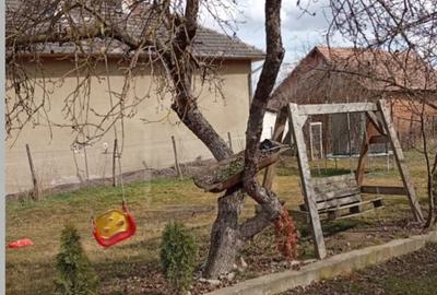 Casă individuală cu 3 camere cu Teren 927 Mp în Așchileu Mare - 7