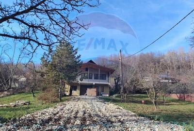 Casă cu 5 camere cu Teren 4000 Mp în Valea Voievozilor - 21