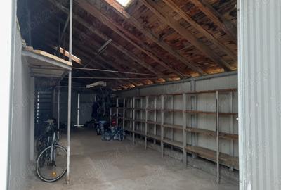 Vand casa Peciu Nou - 9