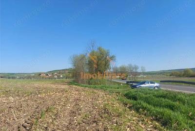 TEREN INTRAVILAN | 4300 MP | HIDISELUL DE SUS | BIHOR - 6